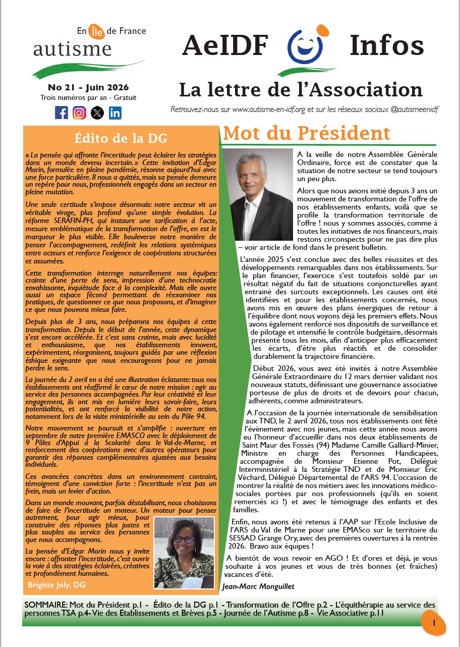 AeIDF Infos 21 Cover